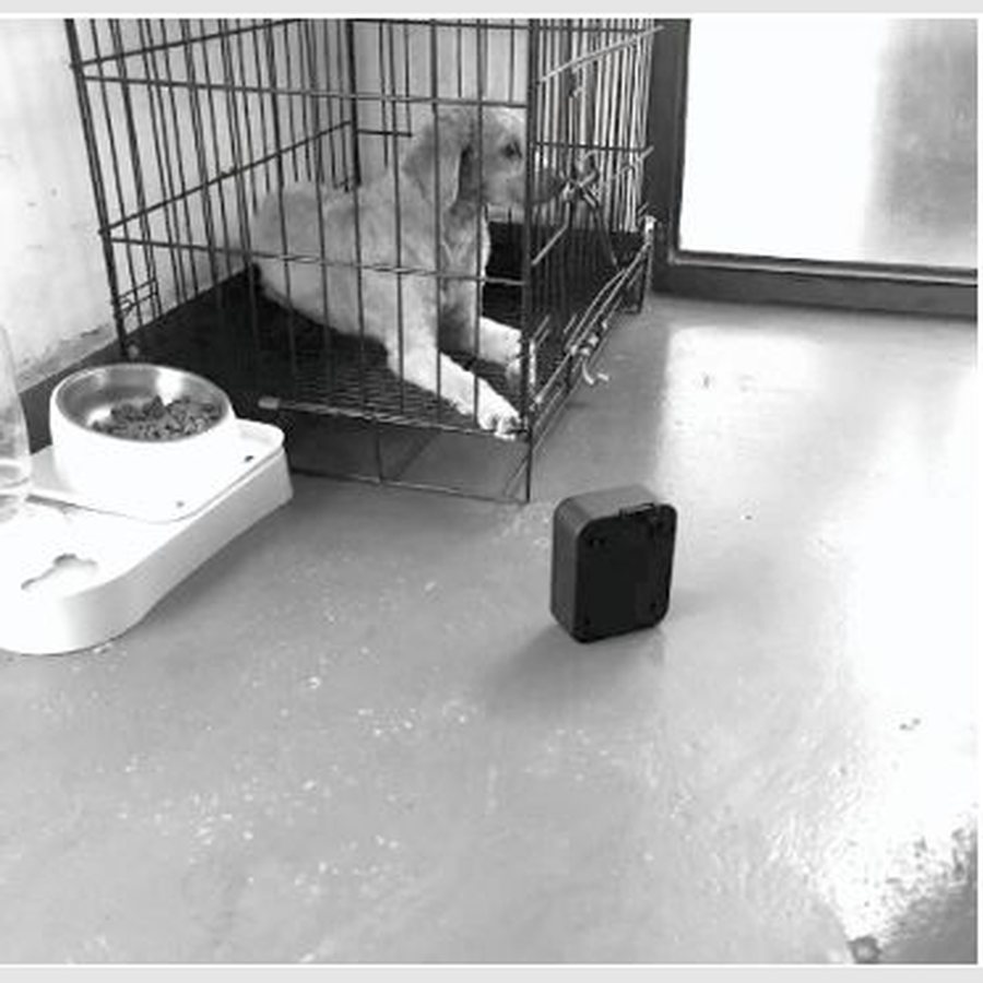 Bark control unit placed next to a dog crate