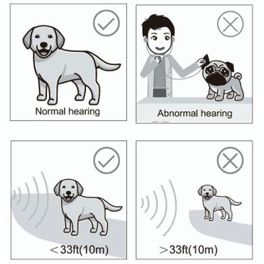 Which dogs the bark control unit is suitable for