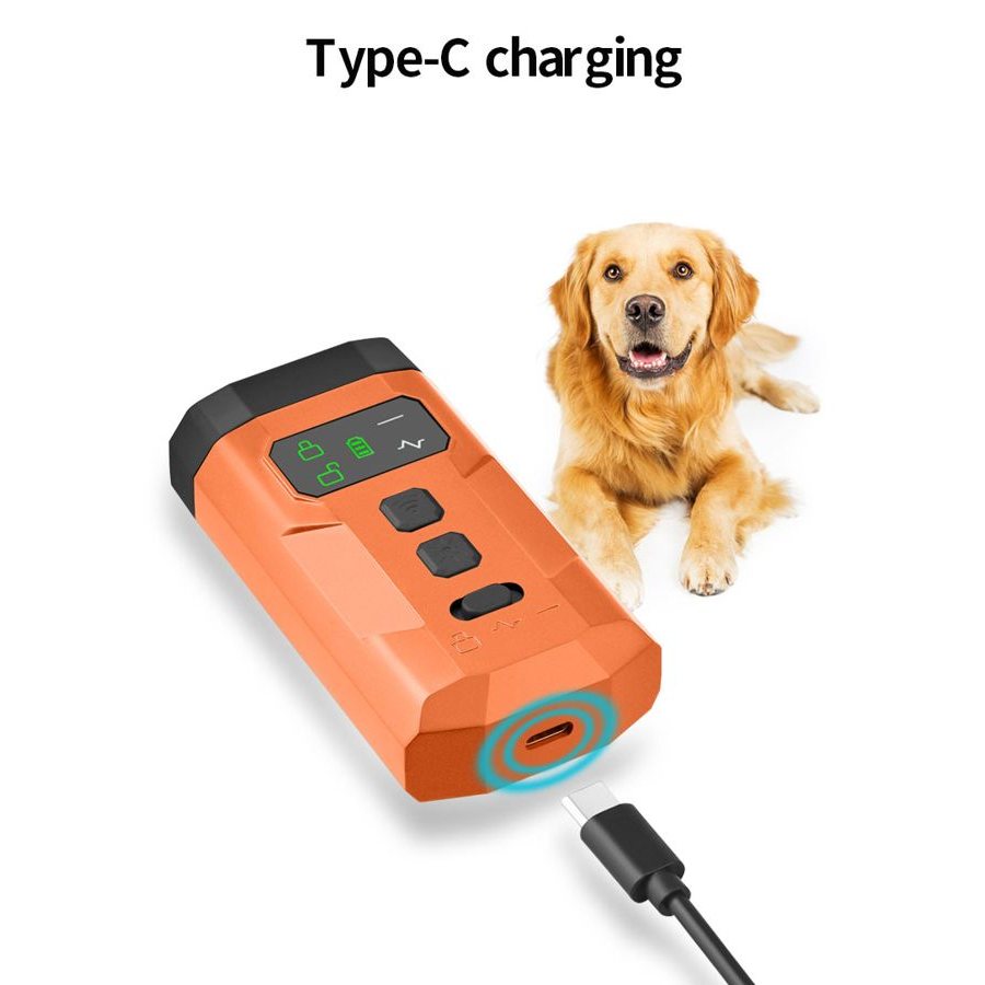 Deterrent charging with a USB-C cable